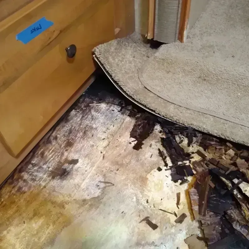 Best Wood Floor Water Damage Service in Sugarland Run, VA